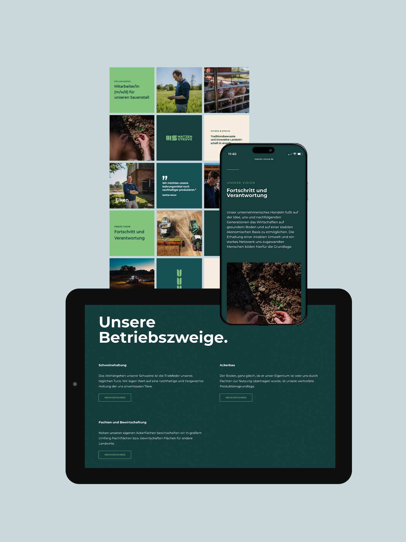 Übersicht Branding Matzen Struve mit Webdesign und Instagram